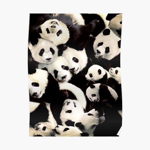 Calin Calins Posters Redbubble