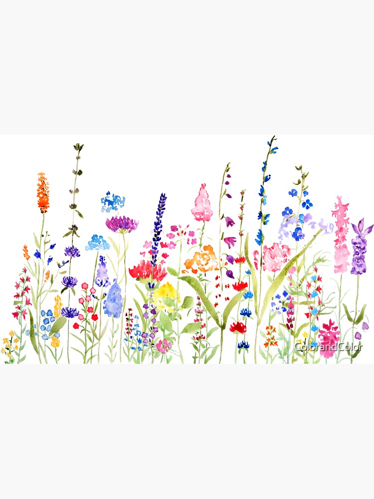 Thumbnail 3 of 3, Magnet, hand painted colorful wild flower field designed and sold by ColorandColor.