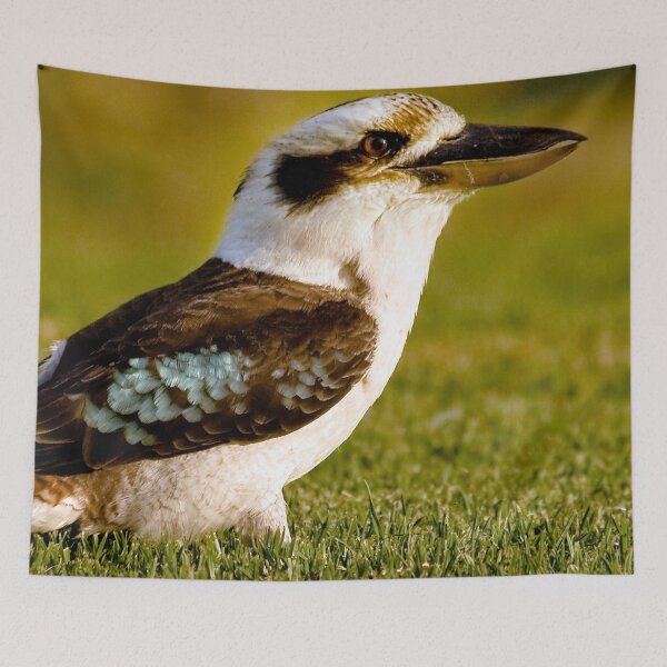 Item preview, Kookaburra, Kookaburra on green grass designed and sold by Ohlordi.