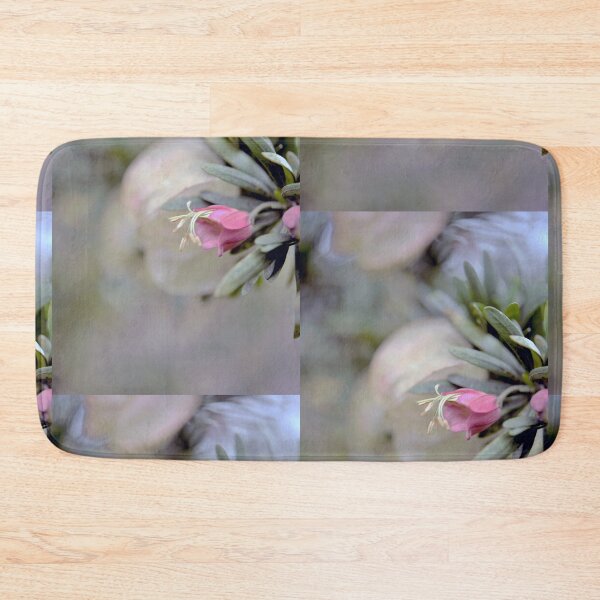 Item preview, Beautiful, Nymania Capensis, Klapperbos - Chinese Lantern designed and sold by imaginethis.