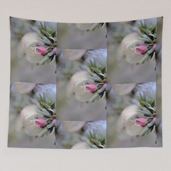 Item preview, Beautiful, Nymania Capensis, Klapperbos - Chinese Lantern designed and sold by imaginethis.