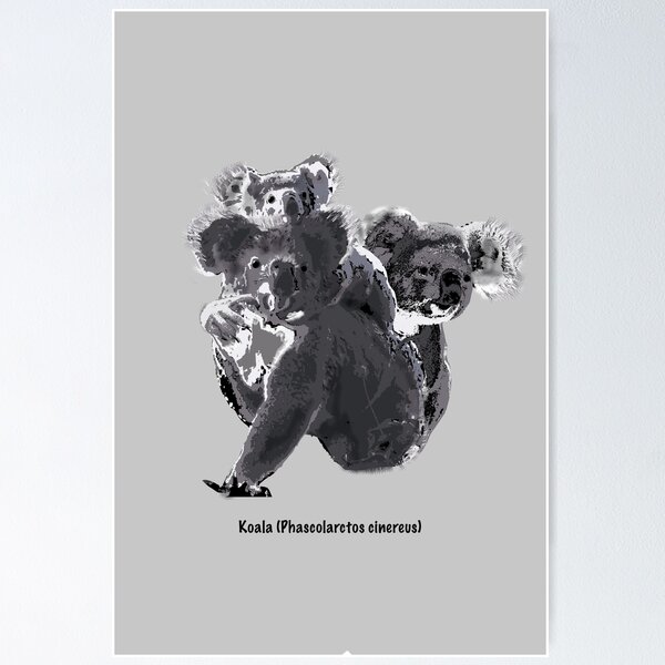 Item preview, Koala (Phascolarctos cinereus) designed and sold by ChrissyWild.