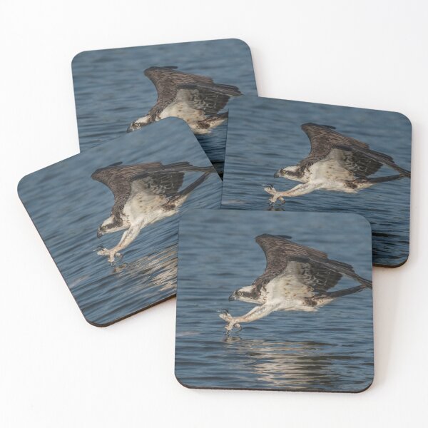 Item preview, Catch of the day designed and sold by Dave Parrish Photography.