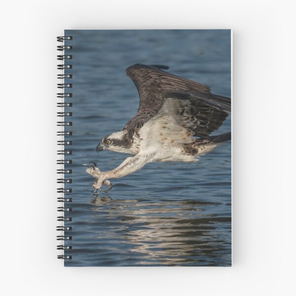 Item preview, Catch of the day designed and sold by Dave Parrish Photography.