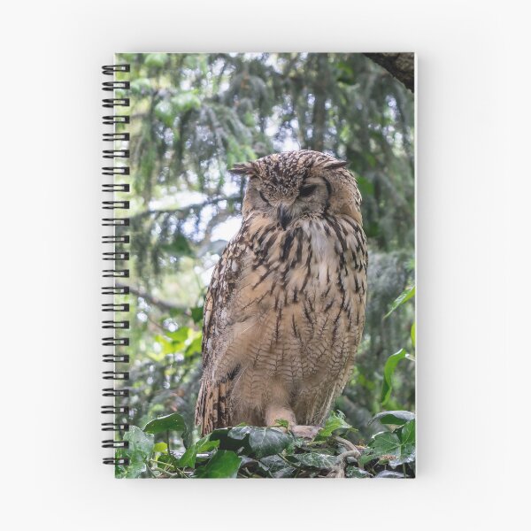 Item preview, Indian eagle-owl designed and sold by lena-maximova.