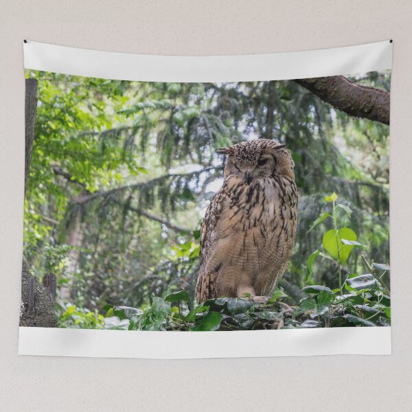 Item preview, Indian eagle-owl designed and sold by lena-maximova.