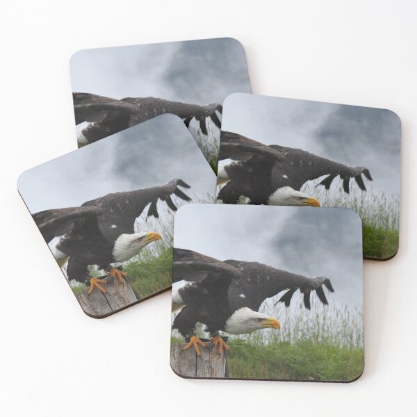 Item preview, The Eagle Takes Flight designed and sold by CreativeEm.