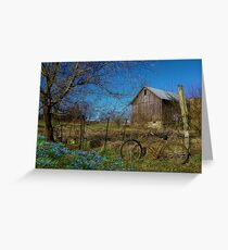 Flower Pedals Greeting Card