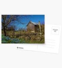 Flower Pedals Postcards