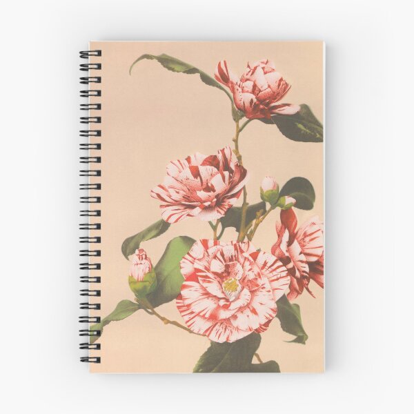 Item preview, Camelias designed and sold by Discount code.