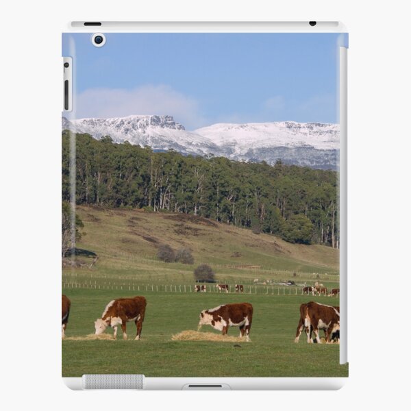 ~ Mole Creek - Tasmania ~ iPad Snap Case