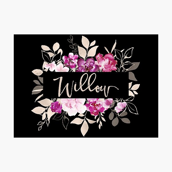 Pretty Ink Willow Photographic Print