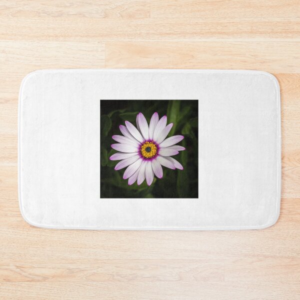 Item preview, African Daisy 2 designed and sold by Nigel R Bell Photography.