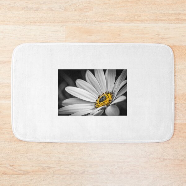 Item preview, African Daisy 3 designed and sold by Nigel R Bell Photography.
