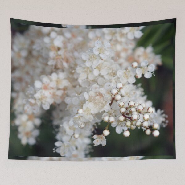 Item preview, White Budding Flowers designed and sold by XCEEDTRANSITION.