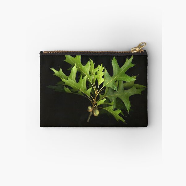 Item preview, First Acorns designed and sold by Barbara E Wyeth.
