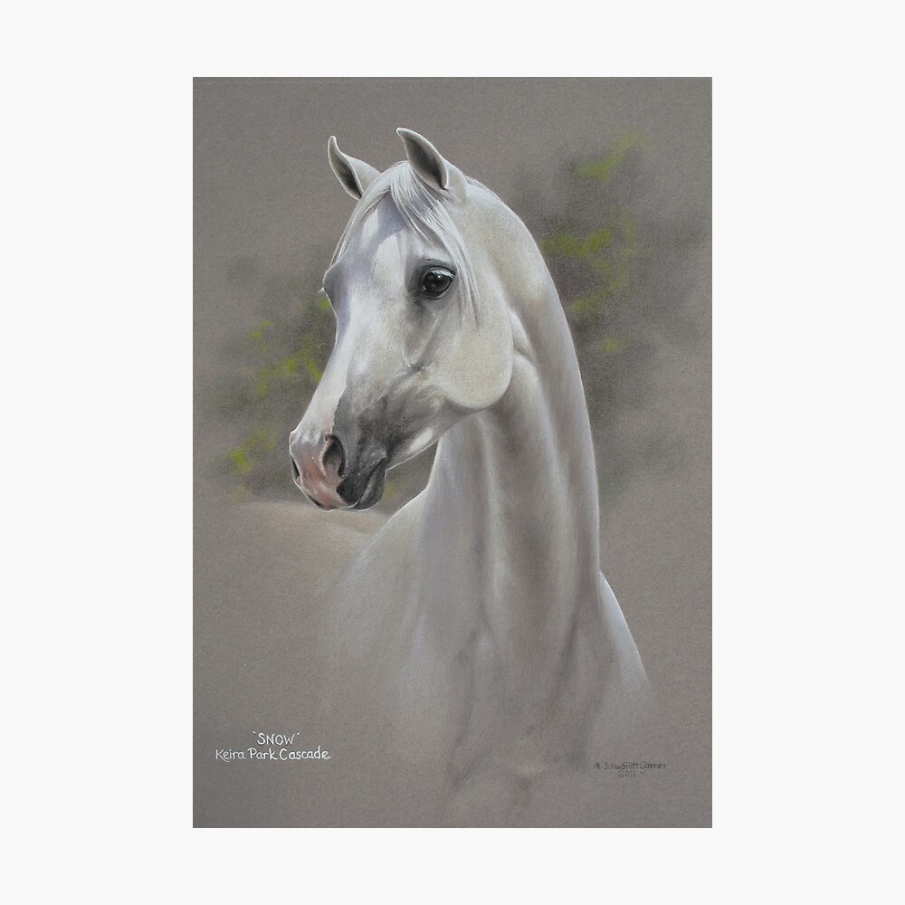 Snow - Keira Park Cascade Poster for Sale by heartco | Redbubble