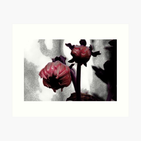 Item preview, Coloured Bud series, magenta version designed and sold by Alayna de Graaf Photography.