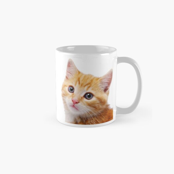I’m Alan Partridge – Alan and Cat Mug Classic Mug