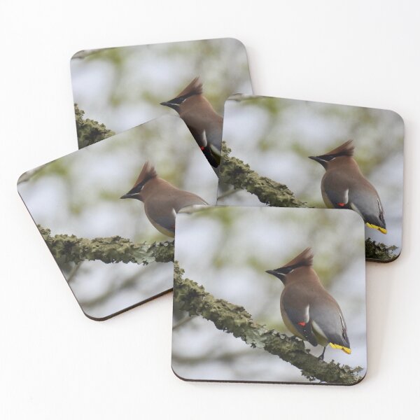 Item preview,  Cedar Waxwing designed and sold by SwampQueen.