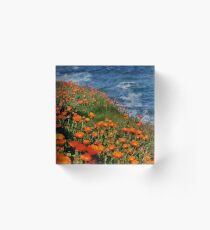 Calendulas Acrylic Block