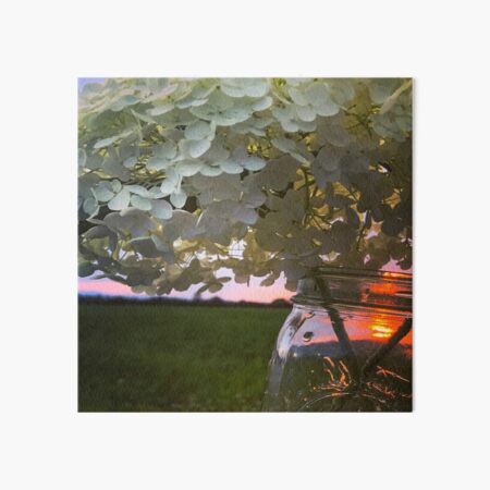 #LookUp Photo - Hydrangea Art Board Print