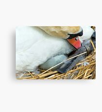 Protected Canvas Print