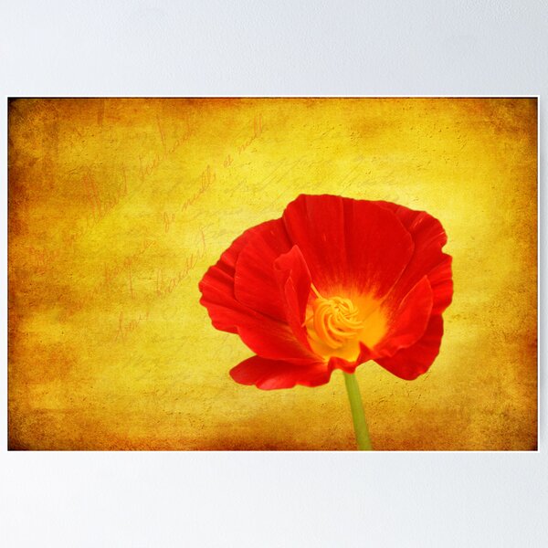 Item preview, Eschscholzia californica designed and sold by Veikko  Suikkanen.