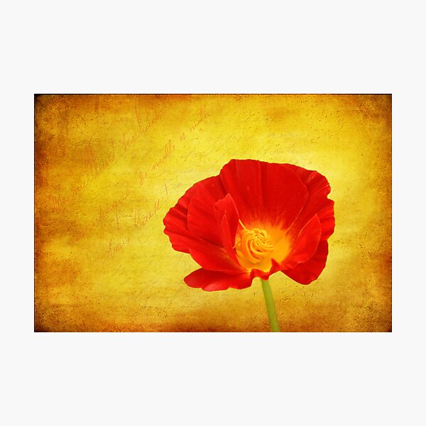 Item preview, Eschscholzia californica designed and sold by Veikko  Suikkanen.