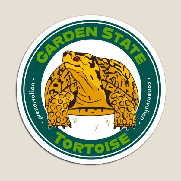 Garden State Tortoise: Eastern Box turtle Magnet