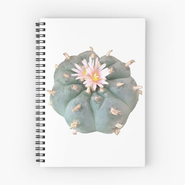 Item preview, Peyote "Lophophora Williamsii" (2)  designed and sold by Fruitsome.