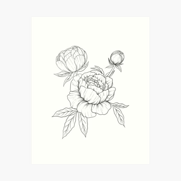Item preview, Peonies Line Art designed and sold by GraphicsbyNel.