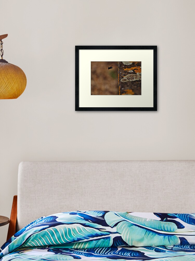 Thumbnail 1 of 7, Framed Art Print, I Lichen Black and White Bees... designed and sold by Paul Eden.