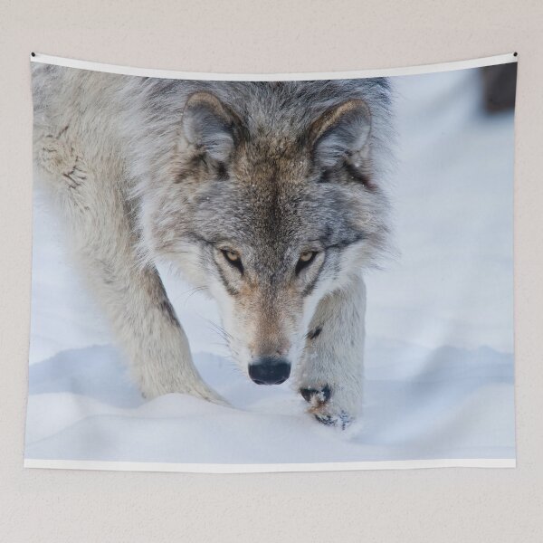 Item preview, Gray Wolf designed and sold by Michael Cummings.