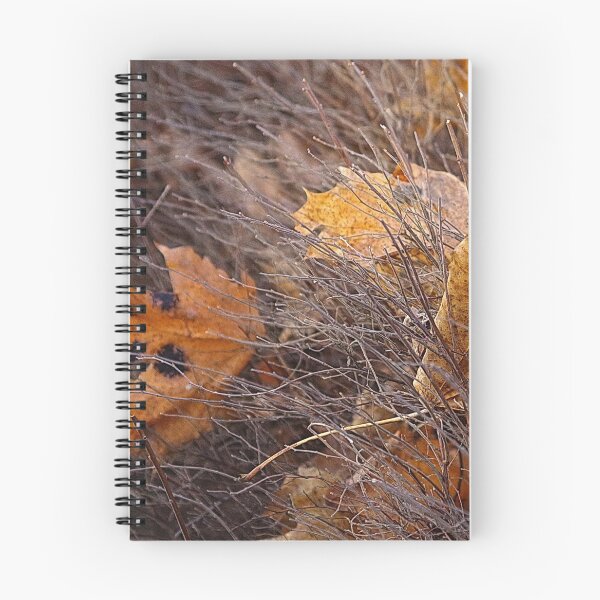 Item preview, Goodbye, November! designed and sold by Bluesrose.