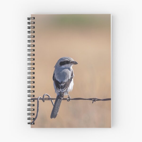 Item preview, Loggerhead Shrike 2019 designed and sold by Thomasyoung.