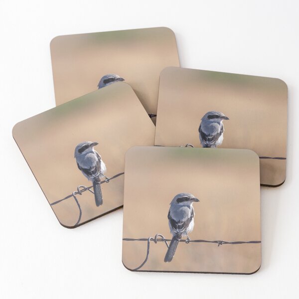 Item preview, Loggerhead Shrike 2019 designed and sold by Thomasyoung.