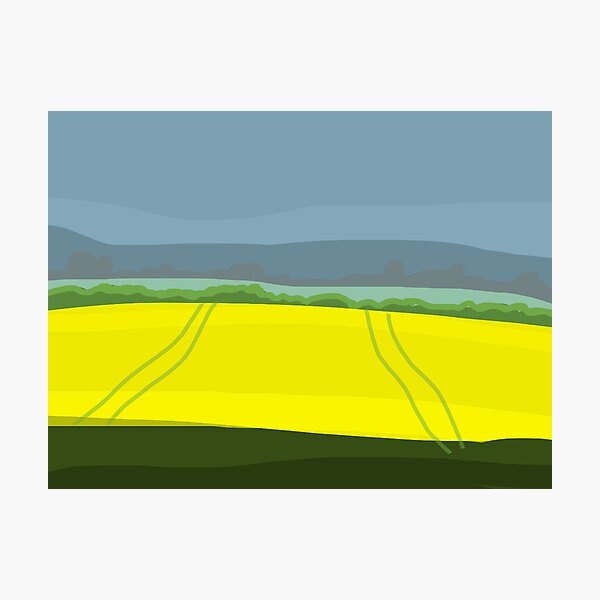 Oilseed Rape Field Photographic Print