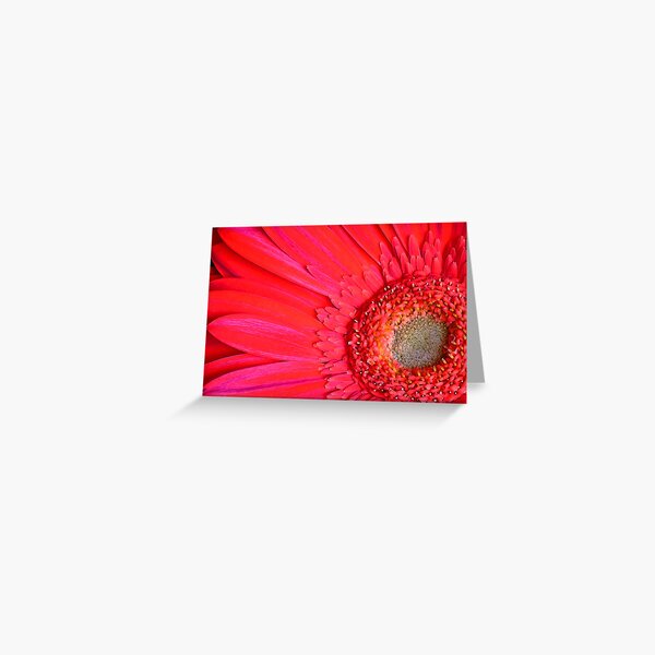 Hot Pink Greeting Card