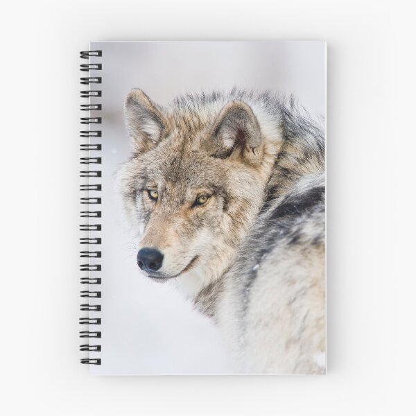 Item preview, Gray Wolf Looking Back designed and sold by Michael Cummings.