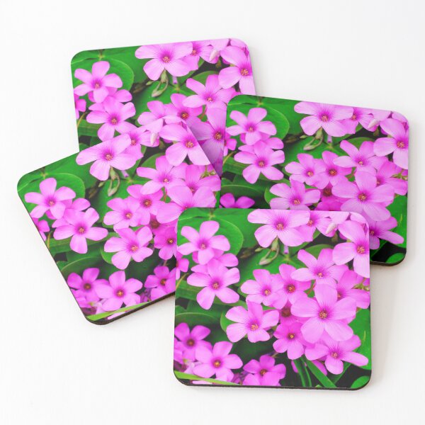Item preview, Pink sorrel designed and sold by troianifabrizio.