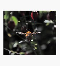 target lock acquired Photographic Print