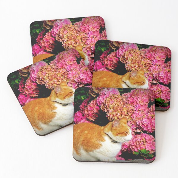 Item preview, Breton cat designed and sold by ART22.