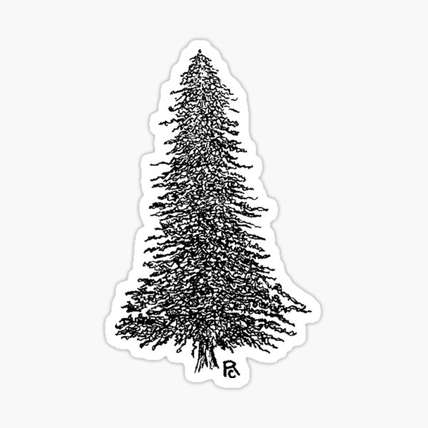 Fir Sticker