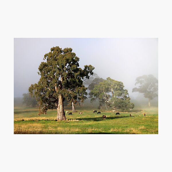 Item preview, ~ Morning in the Hills ~ designed and sold by LeeoPhotography.