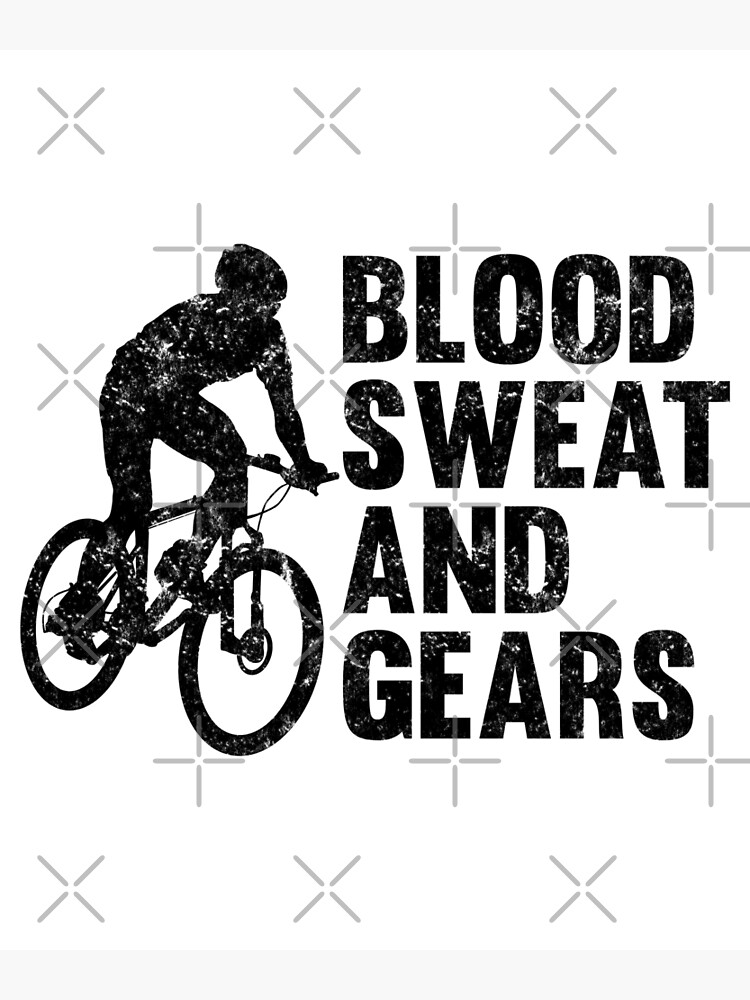 Blood sweat and gears bike online shop