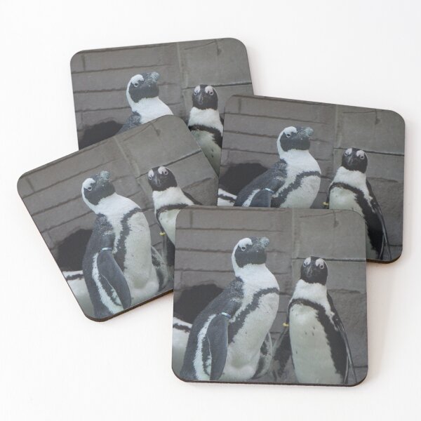 Item preview, Two African Penguins designed and sold by linechangephoto.
