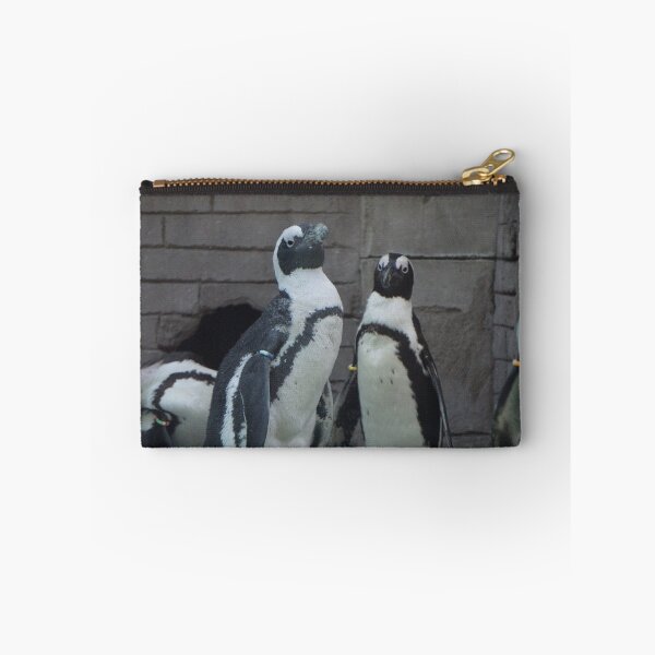 Item preview, Two African Penguins designed and sold by linechangephoto.