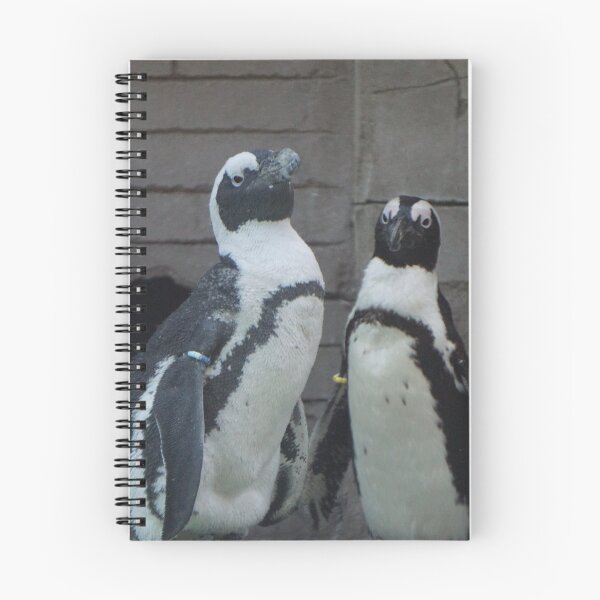 Item preview, Two African Penguins designed and sold by linechangephoto.
