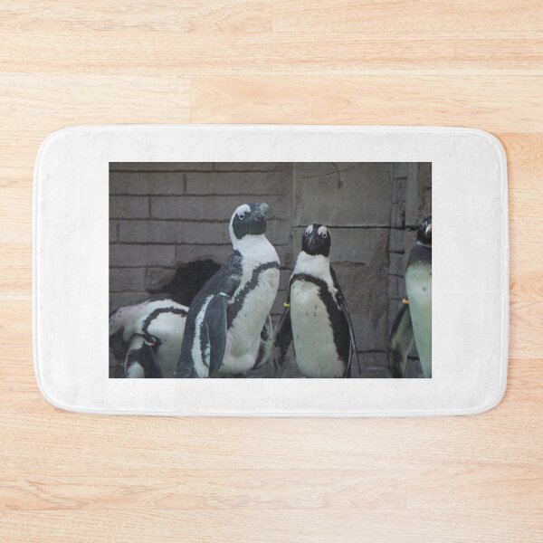 Item preview, Two African Penguins designed and sold by linechangephoto.